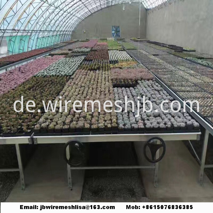 Galvanized Welded Wire Mesh Greenhouse Rolling Benches